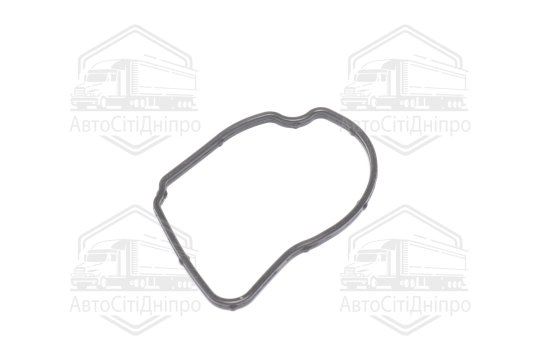 Прокладка для термостату (вир-во Febi)