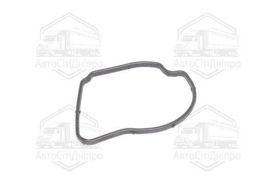 Прокладка для термостату (вир-во Febi)