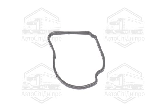 Прокладка для термостату (вир-во Febi)