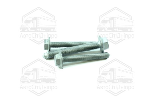 Болти кріплення сайлентблока важеля VAG 03- (Вир-во FEBI)