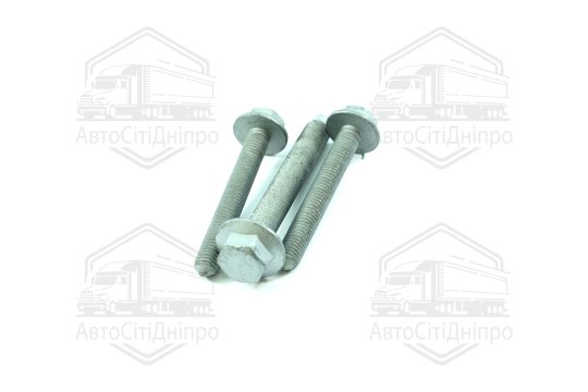 Болти кріплення сайлентблока важеля VAG 03- (Вир-во FEBI)