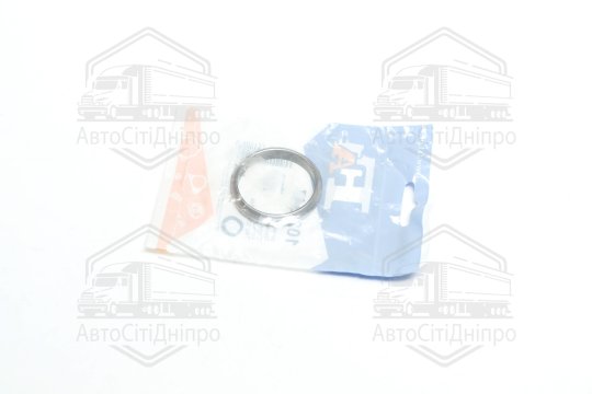 Кільце ущільнювальне BMW (вир-во Fischer)