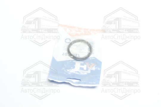 Кільце ущільнювальне BMW (вир-во Fischer)