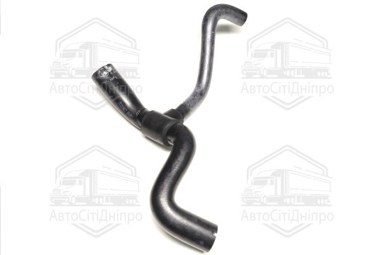 Шланг радіатора