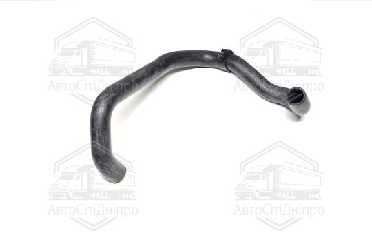 Шланг радіатора