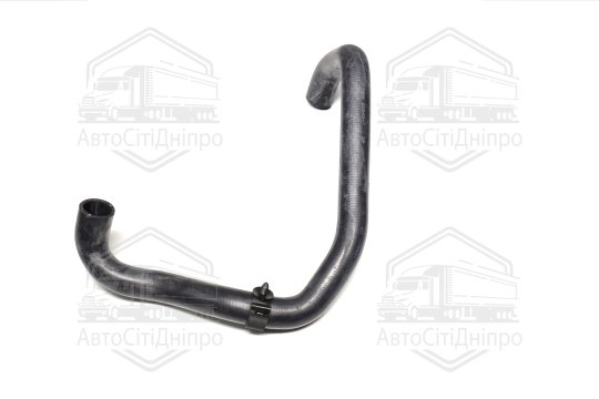 Шланг радіатора