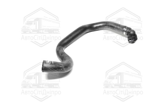 Шланг радіатора