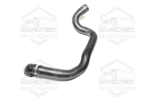 Шланг радіатора