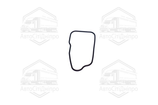 Кільце термостата lda (вир-во GM)