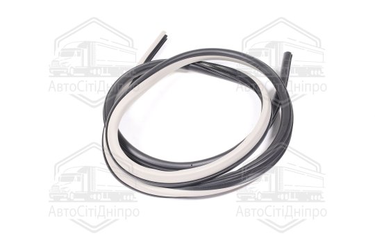 Ущільнювач дверей (вир-во GM)