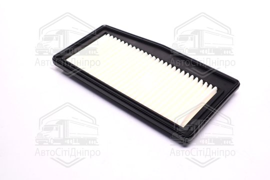 Фільтр повітряний (Ravon R2)