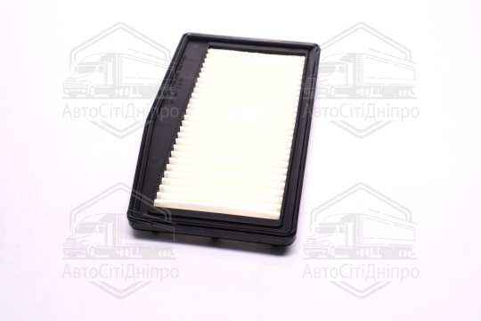 Фільтр повітряний (Ravon R2)