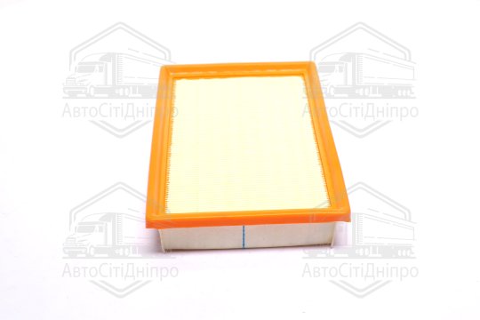 Фільтр повітряний T300