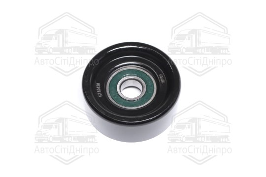 Ролик приводного ременя Nissan Primera P12, Teana J31, X-Trail T30/31, Renault Koleos 01- (вир-во GM