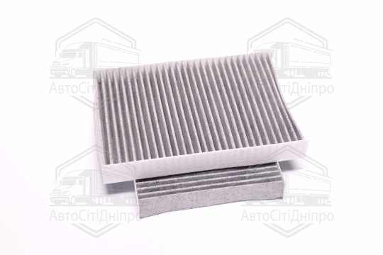 Фільтр салону BMW 5(G30/31/F90) 16-, X5 (G05/F95) 18- вугільний (2шт.) (вир-во HENGST)