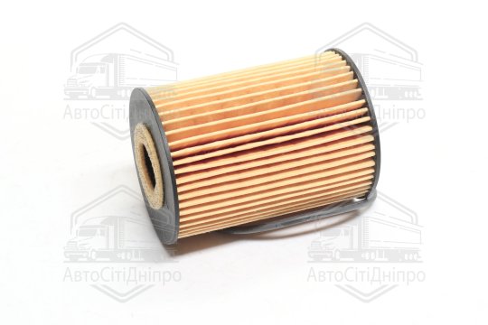 Фільтр масляний RENAULT MASTER, MASCOTT 3.0 DCI 04-10 (вир-во HENGST)