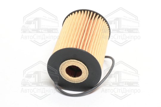 Фільтр масляний RENAULT MASTER, MASCOTT 3.0 DCI 04-10 (вир-во HENGST)