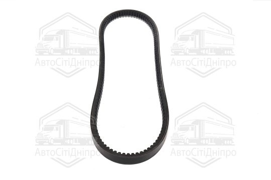 Ремінь клиновий Toyota LAND CRUISER (вир-во Jakoparts)