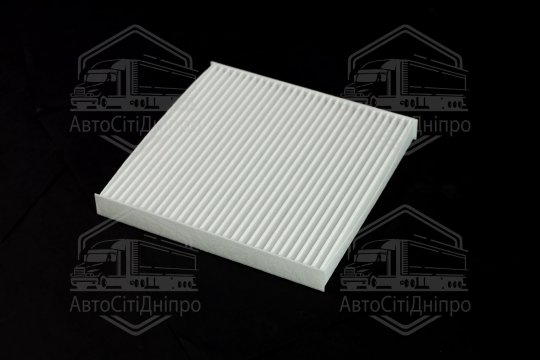 Фільтр салону Hyundai i10 III (AC3, AI3) 19- (вир-во Jakoparts)