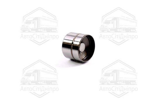 Гідрокомпенсатор VAG EX 1,8 20V (вир-во Ina)