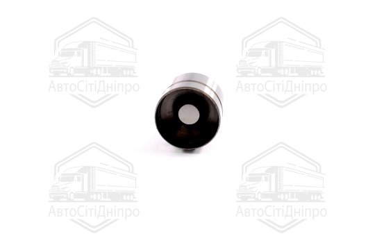 Гідрокомпенсатор VAG EX 1,8 20V (вир-во Ina)