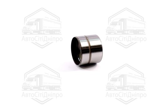 Гідрокомпенсатор VAG EX 1,8 20V (вир-во Ina)
