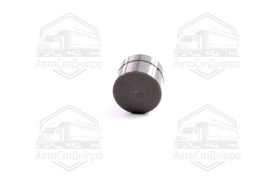 Гідрокомпенсатор VAG EX 1,8 20V (вир-во Ina)