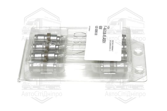 Гідрокомпенсатор BMW 2,0/3,0 TDI M47/N47/B47/M57/N57 (вир-во INA)