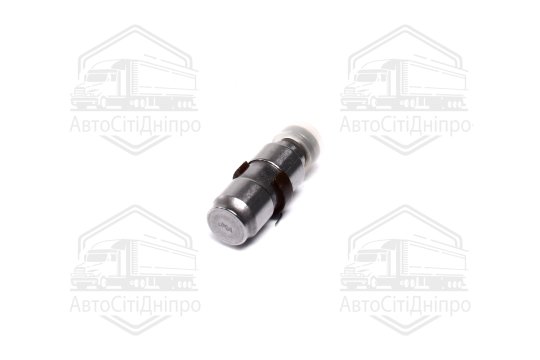 Гідрокомпенсатор IN BMW N52 (вир-во INA)