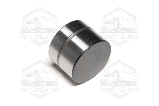 Гідрокомпенсатор VAG 1.4TDI/1.9TDI/2.0TDI/2.5TDI AMF/BNZ (вир-во Ina)