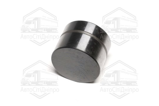 Гідрокомпенсатор VAG 1.4TDI/1.9TDI/2.0TDI/2.5TDI AMF/BNZ (вир-во Ina)