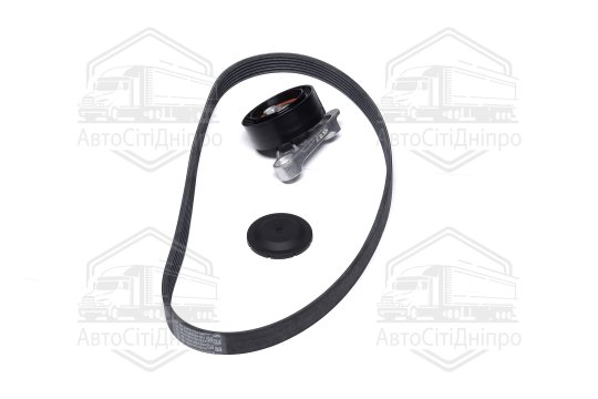 Комплект поліклинового ременя (Вир-во INA)