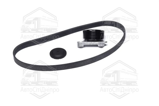 Комплект поліклинового ременя (Вир-во INA)