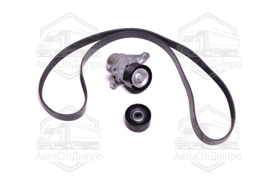 Комплект поліклинових ременів (Вир-во INA)