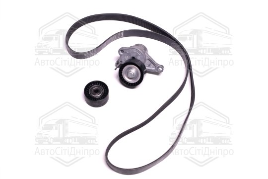 Комплект поліклинових ременів (Вир-во INA)