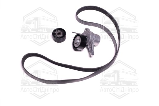 Комплект поліклинових ременів (Вир-во INA)