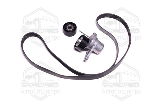 Комплект поліклинових ременів (Вир-во INA)