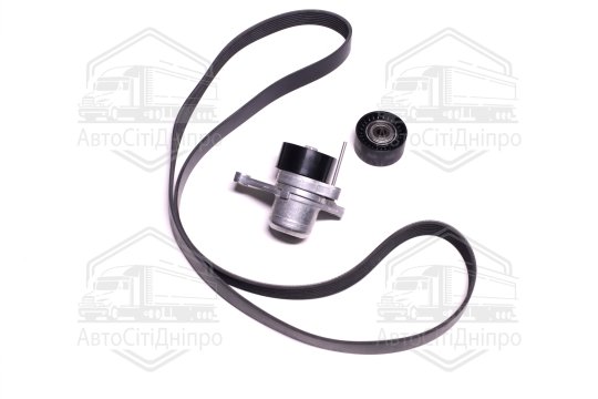 Комплект поліклинових ременів (Вир-во INA)