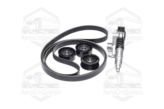 Комплект поліклинових ременів (Вир-во INA)