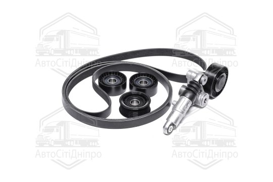 Комплект поліклинових ременів (Вир-во INA)