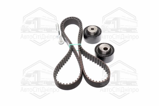 Комплекти натяжних роликів (Вир-во INA)