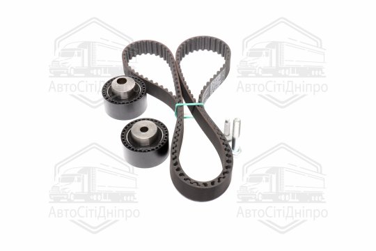 Комплекти натяжних роликів (Вир-во INA)