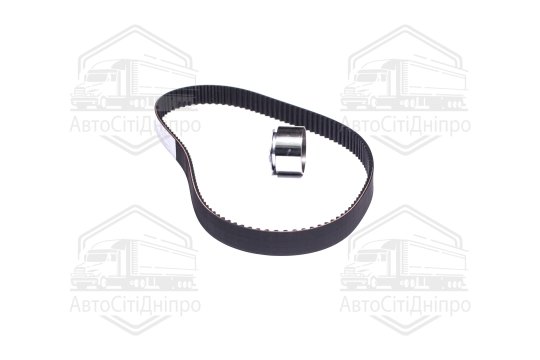 Комплекти натяжних роликів (вир-во INA)