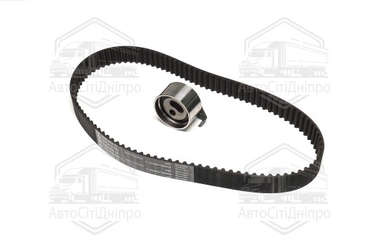 Комплект  ременя ГРМ (Вир-во INA)