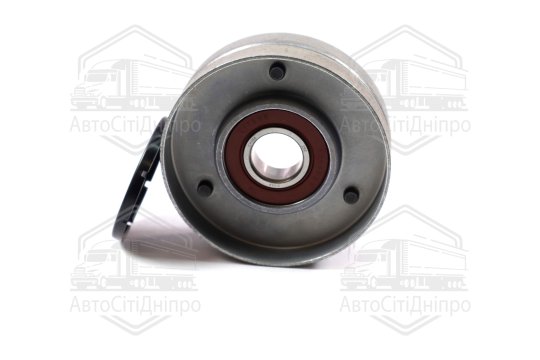 Ролик натяжний AUDI (вир-во Ina)