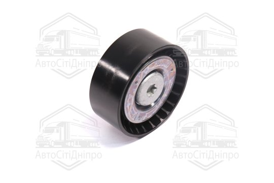 Ведучий ролик, полікліновий ремінь (Вир-во INA)