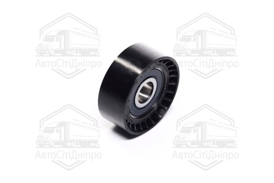 Ведучий ролик, полікліновий ремінь (Вир-во INA)