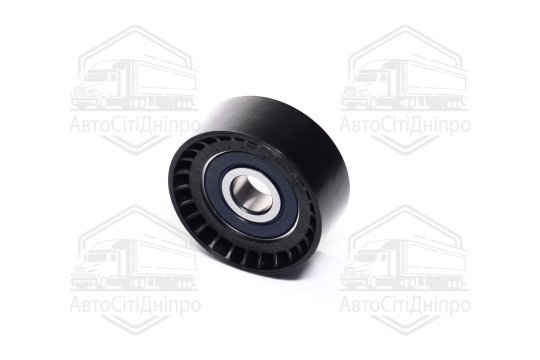 Ведучий ролик, полікліновий ремінь (Вир-во INA)