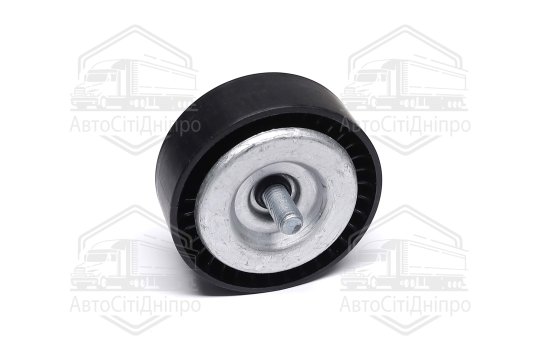 Ролик обвідний поліклінового ременя (Вир-во INA)