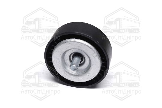 Ролик обвідний поліклінового ременя (Вир-во INA)